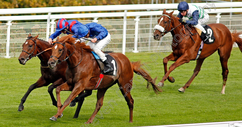 Act-Of-Wisdom-0001 
 ACT OF WISDOM (James Doyle) beats KING FRANKEL (left) in The Download The Tote Placepot App Future Stayers EBF Maiden Stakes
Goodwood 23 Sep 2020 - Pic Steven Cargill / Racingfotos.com