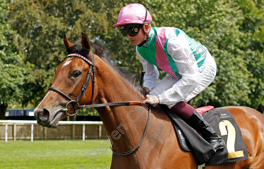 Bernese-0001 
 BERNESE (Rob Hornby)
Newmarket 15 Jul 2023 - Pic Steven Cargill / Racingfotos.com