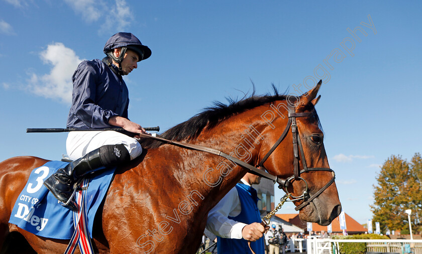 City-Of-Troy-0016 
 CITY OF TROY (Ryan Moore) winner of The Dewhurst Stakes
Newmarket 14 Oct 2023 - Pic Steven Cargill / Racingfotos.com