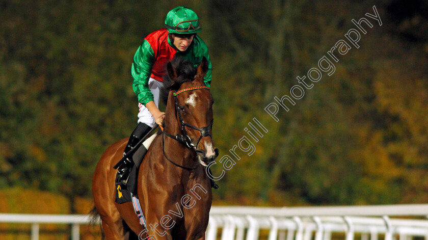 Candleford-0004 
 CANDLEFORD (Tom Marquand) before winning The Unibet 3 Uniboosts A Day Handicap
Kempton 10 Nov 2021 - Pic Steven Cargill / Racingfotos.com