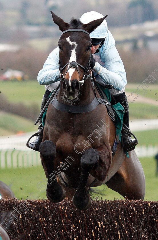 Black-Op-0001 
 BLACK OP (Noel Fehily)
Cheltenham 1 Jan 2019 - Pic Steven Cargill / Racingfotos.com