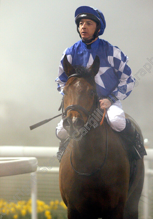 Atyaaf-0003 
 ATYAAF (Paddy Mathers) after The Bet toteplacepot At totesport.com Handicap
Chelmsford 22 Feb 2019 - Pic Steven Cargill / Racingfotos.com