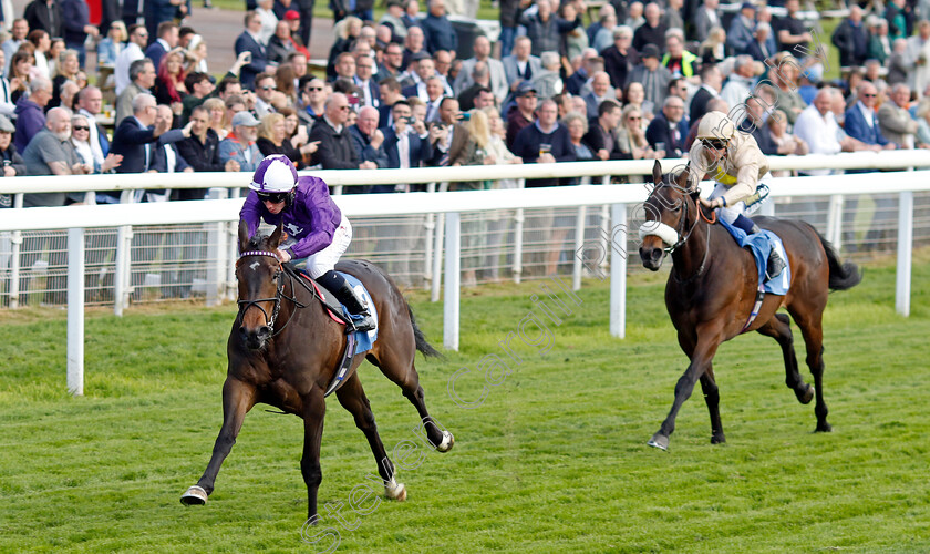 Queen-Olly-0001 
 QUEEN OLLY (Rossa Ryan) wins The Frank Whittle Partnership ebfstallions.com Maiden Stakes
York 12 May 2022 - Pic Steven Cargill / Racingfotos.com