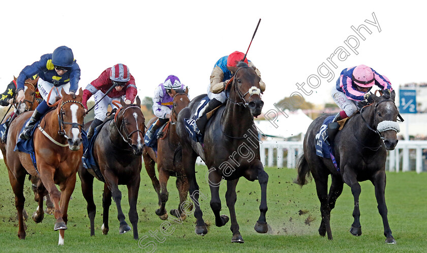 Kind-Of-Blue-0002 
 KIND OF BLUE (centre, James Doyle) beats FLORA OF BERMUDA (right) and SWINGALONG (left) in The Qipco British Champions Sprint Stakes
Ascot 19 Oct 2024 - Pic Steven Cargill / Racingfotos.com