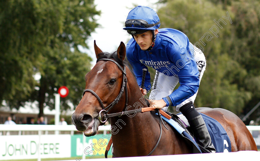 Platinum-Star-0001 
 PLATINUM STAR (Harry Bentley)
Newmarket 11 Jul 2019 - Pic Steven Cargill / Racingfotos.com