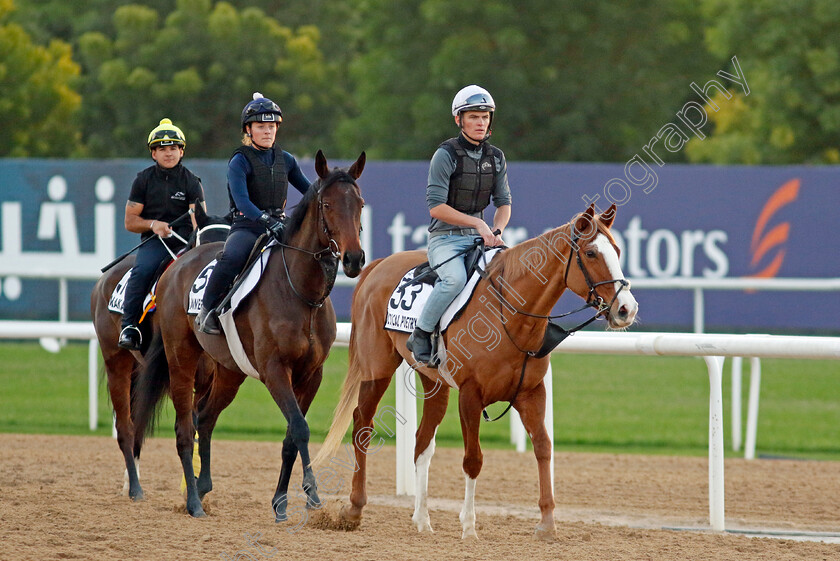 Lyrical-Poetry-and-Annerville-0001 
 LYRICAL POETRY (right) with ANNERVILLE (left) training at the Dubai World Cup Carnival
Meydan 5 Jan 2023 - Pic Steven Cargill / Racingfotos.com