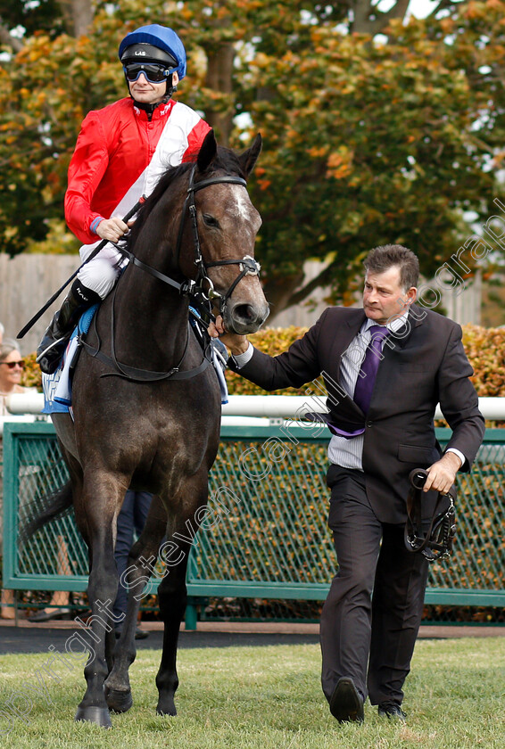 Angel s-Hideaway-0001 
 ANGEL'S HIDEAWAY (Robert Havlin)
Newmarket 12 Oct 2018 - Pic Steven Cargill / Racingfotos.com