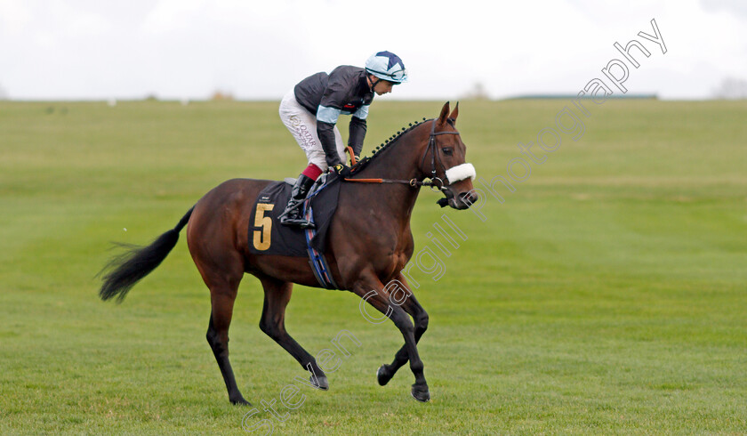 Kattani 
 KATTANI (Oisin Murphy)
Newmarket 29 Oct 2021 - Pic Steven Cargill / Racingfotos.com