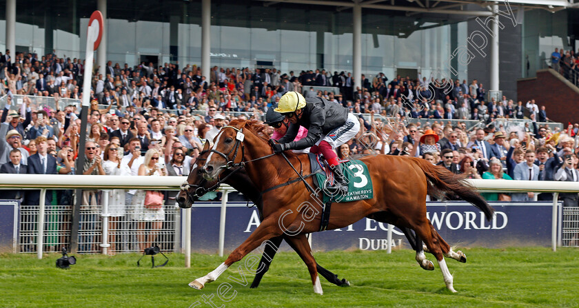 Stradivarius-0003 
 STRADIVARIUS (Frankie Dettori) wins The Weatherby's Hamilton Lonsdale Cup
York 20 Aug 2021 -- Pic Steven Cargill / Racingfotos.com