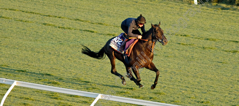 Big-Mojo-0004 
 BiG MOJO (Tom Marquand) training for the Breeders' Cup Juvenile Turf Sprint
Del Mar USA 30 Oct 2024 - Pic Steven Cargill / Racingfotos.com