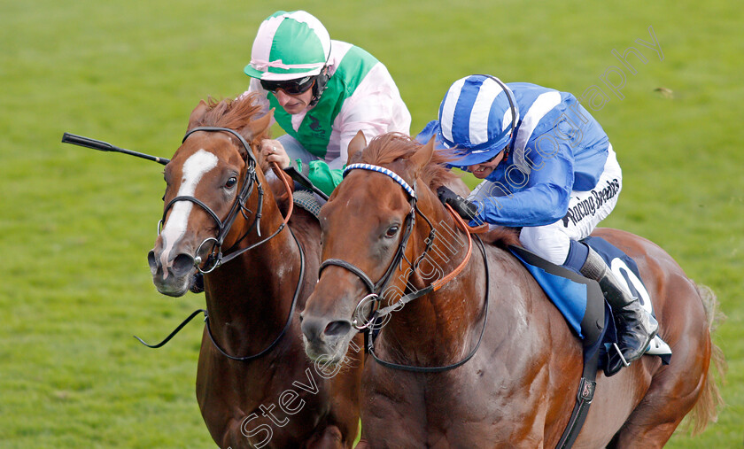 Molatham-0004 
 MOLATHAM (right, Jim Crowley) beats CELTIC ART (left) in The British Stallion Studs EBF Convivial Maiden Stakes
York 23 Aug 2019 - Pic Steven Cargill / Racingfotos.com