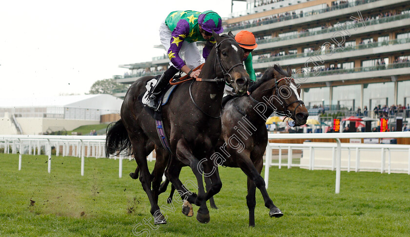 Burford-Brown-0003 
 BURFORD BROWN (left, James Doyle) beats DASCHAS (right) in The Ascot Supports Racing Charities Handicap
Ascot 1 May 2019 - Pic Steven Cargill / Racingfotos.com