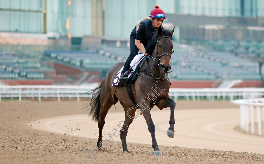 Trevaunance-0003 
 TREVAUNANCE training at the Dubai Racing Carnival
Meydan 1 Feb 2024 - Pic Steven Cargill / Racingfotos.com