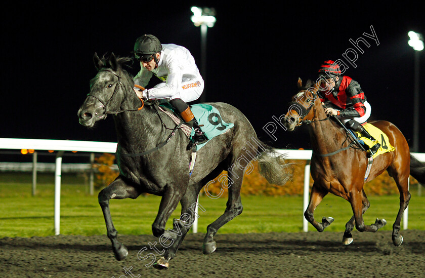 Lush-Life-0003 
 LUSH LIFE (Dougie Costello) wins The British Stallion Studs EBF Fillies Novice Stakes Kempton 8 Nov 2017 - Pic Steven Cargill / Racingfotos.com