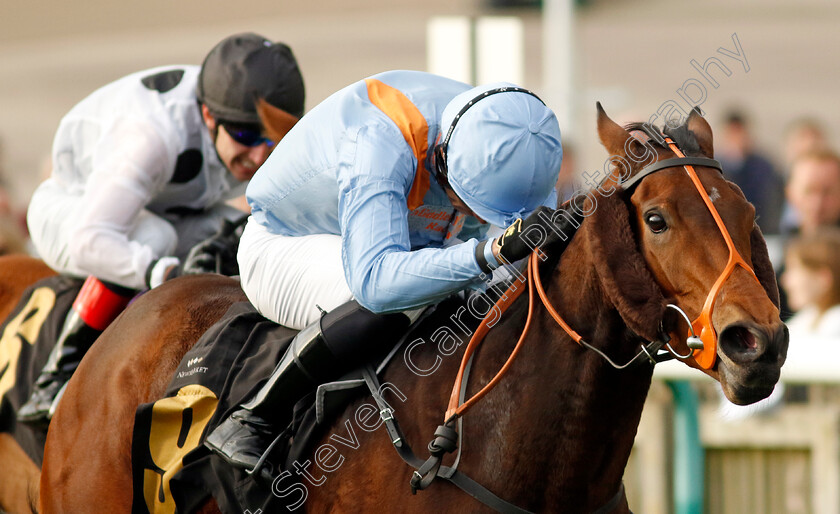 Ziggy s-Phoenix-0001 
 ZIGGY'S PHOENIX (Sean Levey) wins The My Pension Expert Fillies Handicap
Newmarket 23 Oct 2024 - Pic Steven Cargill / Racingfotos.com