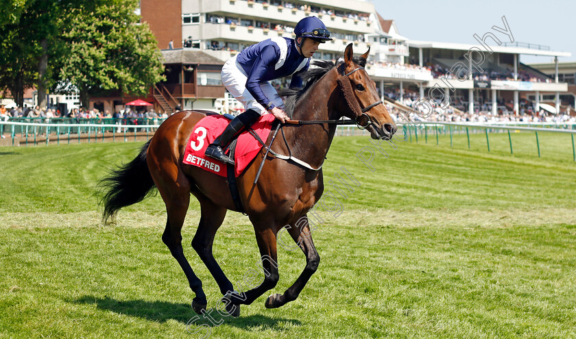 Scholarship-0001 
 SCHOLARSHIP (Clifford Lee)
Haydock 27 May 2023 - Pic Steven Cargill / Racingfotos.com