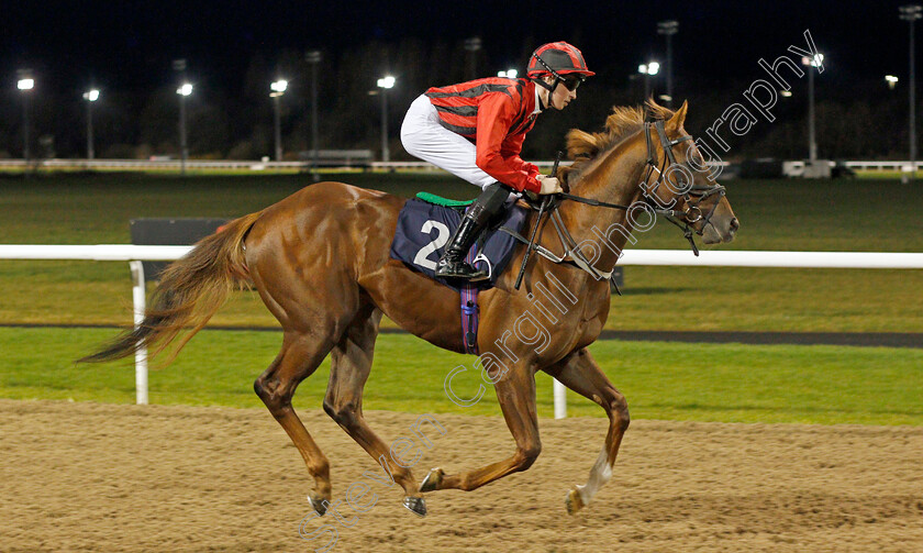 King-Of-Jungle-0001 
 KING OF JUNGLE (Ross Coakley)
Wolverhampton 11 Mar 2022 - Pic Steven Cargill / Racingfotos.com