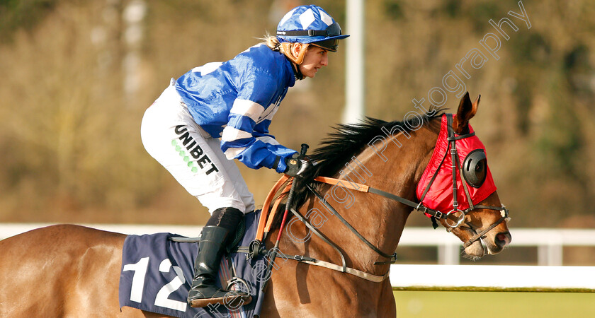 Canimar-0001 
 CANIMAR (Josephine Gordon)
Wolverhampton 3 Jan 2020 - Pic Steven Cargill / Racingfotos.com