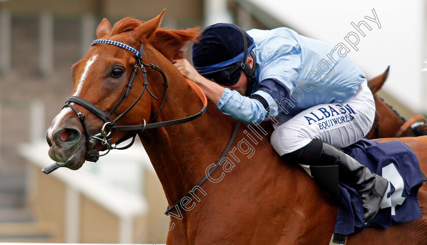 Nicklaus-0007 
 NICKLAUS (Tom Marquand) wins The attheraces.com Handicap
Yarmouth 16 Sep 2020 - Pic Steven Cargill / Racingfotos.com