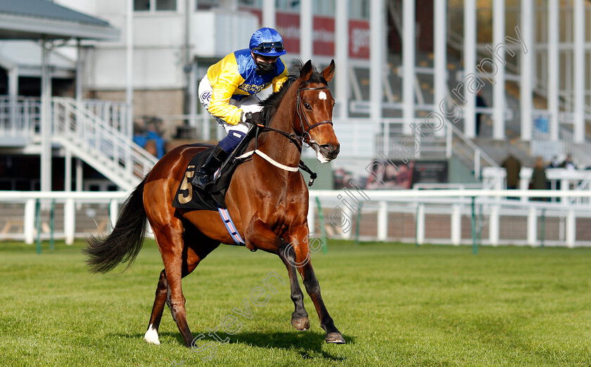 Gwenhwyvar-0001 
 GWENHWYVAR (David Probert)
Nottingham 4 Nov 2020 - Pic Steven Cargill / Racingfotos.com