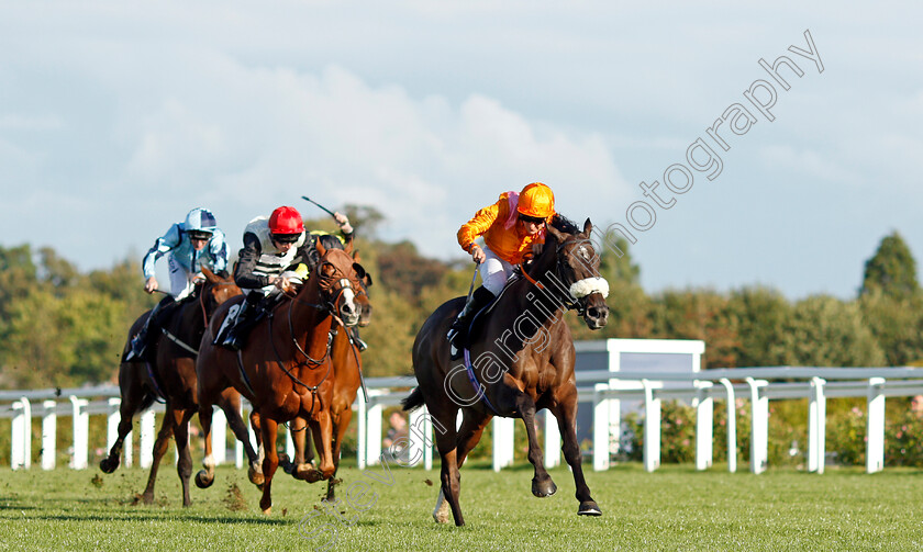 Rajinksy-0002 
 RAJINSKY (Pierre-Louis Jamin) wins The 25 Years Since Frankie's Magnificent Seven Handicap
Ascot 1 Oct 2021 - Pic Steven Cargill / Racingfotos.com