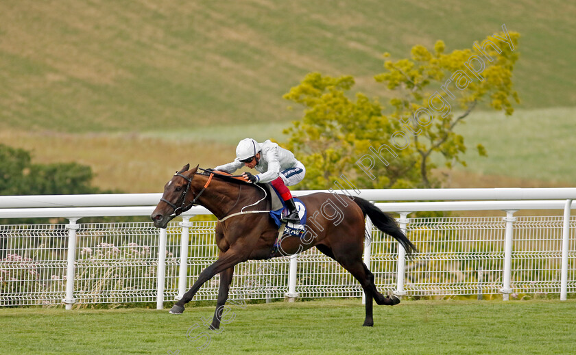 Forest-Falcon-0005 
 FOREST FALCON (Frankie Dettori) wins The Coral Chesterfield Cup Handicap
Goodwood 26 Jul 2022 - Pic Steven Cargill / Racingfotos.com