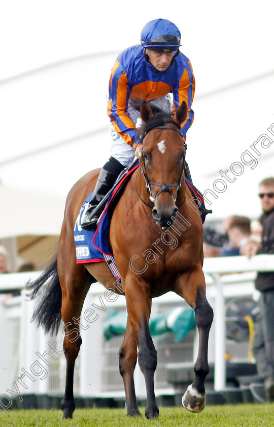 San-Antonio-0001 
 SAN ANTONIO (Wayne Lordan)
Epsom 3 Jun 2023 - Pic Steven Cargill / Racingfotos.com