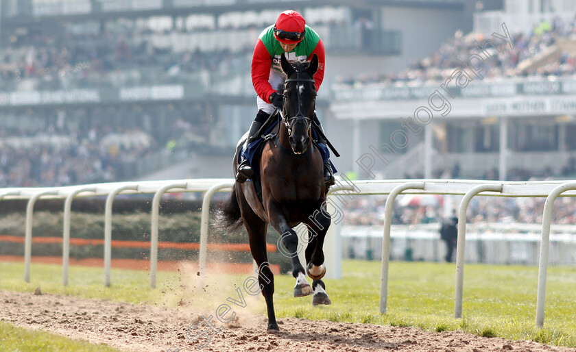 Destrier-0001 
 DESTRIER (Harry Skelton)
Aintree 6 Apr 2019 - Pic Steven Cargill / Racingfotos.com