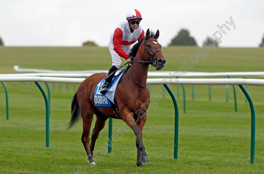 Princess-Shabnam 
 PRINCESS SHABNAM (Ben Curtis)
Newmarket 8 Oct 2021 - Pic Steven Cargill / Racingfotos.com