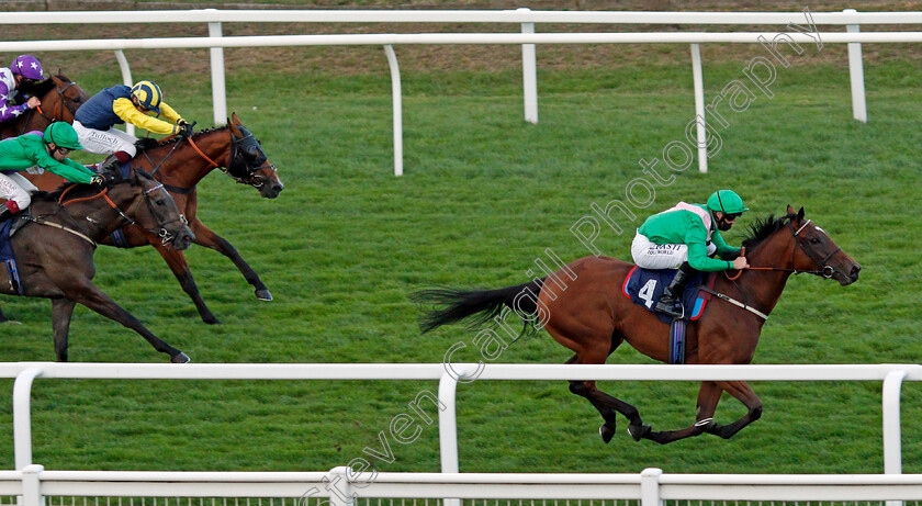 Molly-Shaw-0003 
 MOLLY SHAW (Jack Mitchell) wins The Free Tips Daily On attheraces.com Handicap
Yarmouth 25 Aug 2020 - Pic Steven Cargill / Racingfotos.com