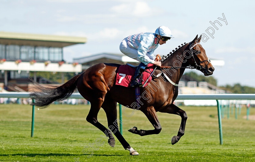 Dark-Mystery-0001 
 DARK MYSTERY (William Buick)
Haydock 1 Sep 2022 - Pic Steven Cargill / Racingfotos.com