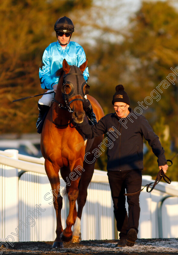 Valentinka-0001 
 VALENTINKA (Jack Mitchell)
Lingfield 21 Jan 2023 - Pic Steven Cargill / Racingfotos.com