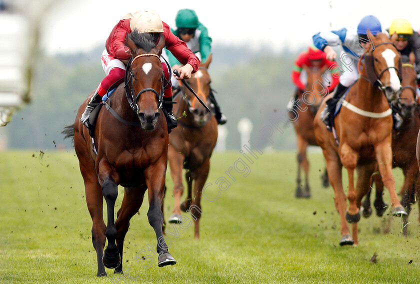 Muchly-0007 
 MUCHLY (Frankie Dettori) wins The Naas Racecourse Royal Ascot Trials Day British EBF Fillies Stakes
Ascot 1 May 2019 - Pic Steven Cargill / Racingfotos.com