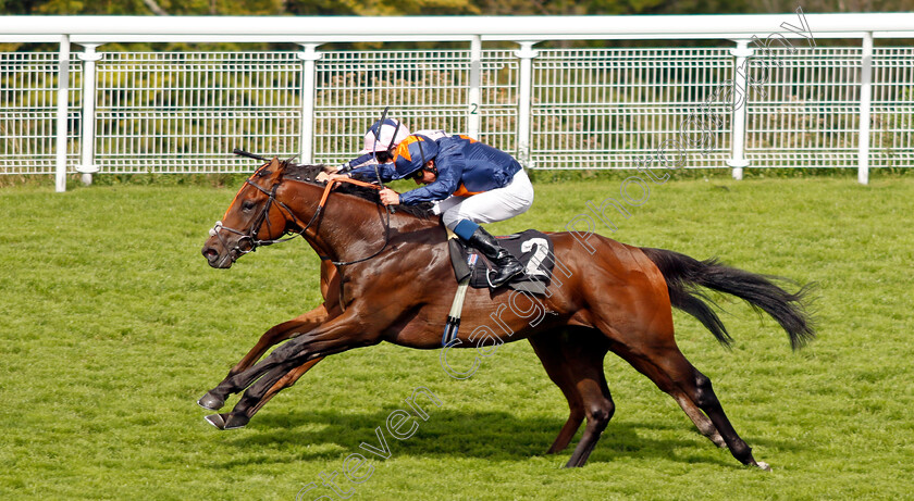 Ndaawi-0002 
 NDAAWI (William Buick) wins The William Hill EBF Restricted Maiden Stakes
Goodwood 28 Aug 2022 - Pic Steven Cargill / Racingfotos.com