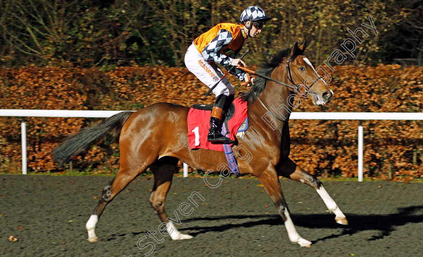 Rusper-0002 
 RUSPER (Dougie Costello) winner of The Matchbook VIP Novice Stakes Div1 Kempton 13 Dec 2017 - Pic Steven Cargill / Racingfotos.com