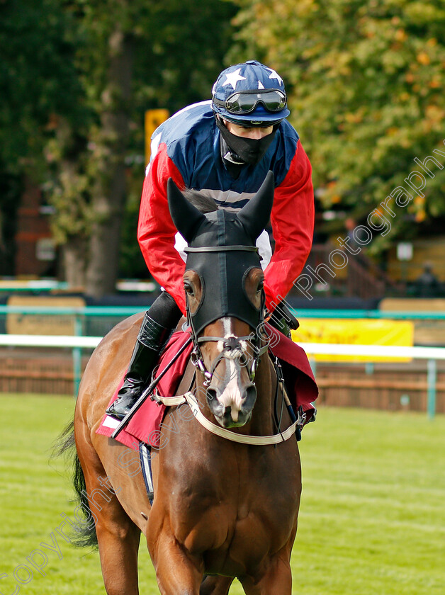 Repetitio-0001 
 REPETITIO (Richard Kingscote)
Haydock 4 Sep 2020 - Pic Steven Cargill / Racingfotos.com