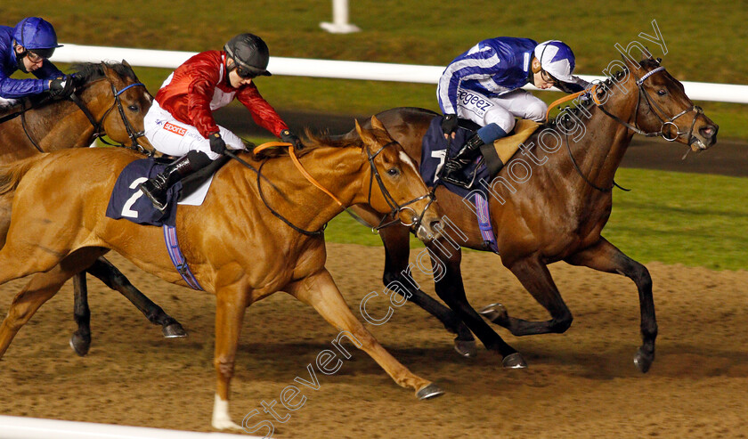 Felix-0006 
 FELIX (left, Hollie Doyle) beats BANGKOK (right) in The Betway Conditions Stakes
Wolverhampton 11 Jan 2021 - Pic Steven Cargill / Racingfotos.com