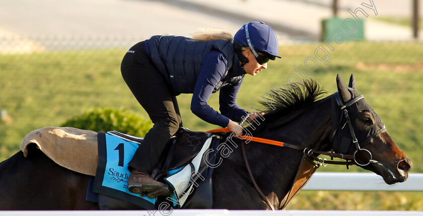 Abha-0001 
 ABHA training for The International Handicap
King Abdulaziz Racecourse, Saudi Arabia 21 Feb 2024 - Pic Steven Cargill / Racingfotos.com