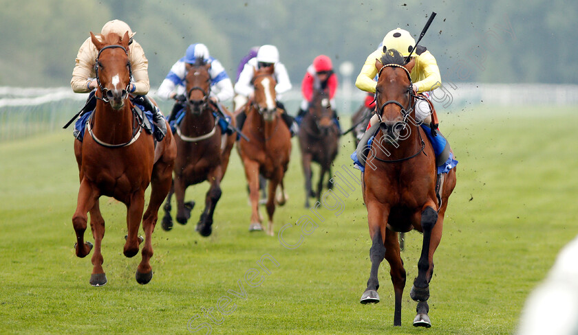 Roseman-0004 
 ROSEMAN (Andrea Atzeni) beats DEEBEE (left) in The Join Racing TV Now Novice Stakes Div2
Nottingham 30 Apr 2019 - Pic Steven Cargill / Racingfotos.com