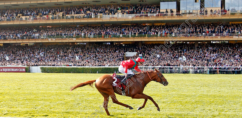 Waldgeist-0004 
 WALDGEIST (P C Boudot) wins The Qatar Prix De L'Arc De Triomphe
Longchamp 6 Oct 2019 - Pic Steven Cargill / Racingfotos.com