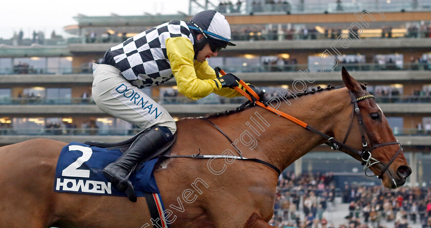 Jungle-Boogie-0003 
 JUNGLE BOOGIE (Darragh O'Keeffe) wins The Howden Graduation Chase
Ascot 21 Dec 2024 - Pic Steven Cargill / Racingfotos.com