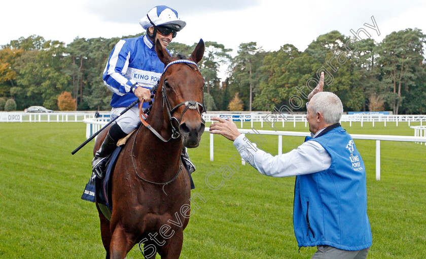 Donjuan-Triumphant-0008 
 DONJUAN TRIUMPHANT (Silvestre De Sousa) after The Qipco British Champions Sprint Stakes
Ascot 19 Act 2019 - Pic Steven Cargill / Racingfotos.com