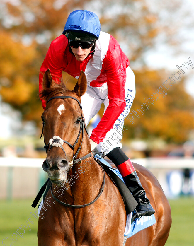 Zonderland-0001 
 ZONDERLAND (Adam Kirby)
Newmarket 12 Oct 2018 - Pic Steven Cargill / Racingfotos.com