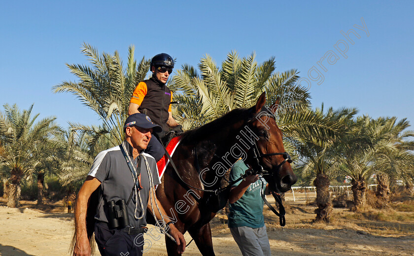 Lead-Artist-0004 
 LEAD ARTIST training for the Bahrain International Trophy
Kingdom of Bahrain 13 Nov 2024 - Pic Steven Cargill / Racingfotos.com