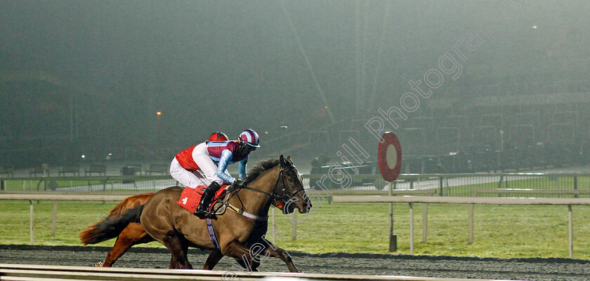 Nortonthorpe-Boy-0003 
 NORTONTHORPE BOY (Grace McEntee) wins The Unibet Extra Place Offers Every Day Handicap
Kempton 13 Jan 2021 - Pic Steven Cargill / Racingfotos.com