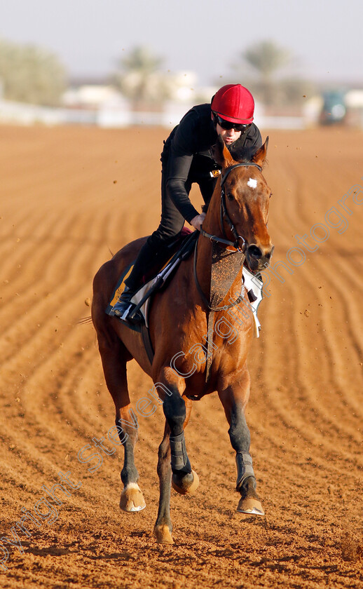 Luxembourg-0001 
 LUXEMBOURG training for The Neom Turf Cup
King Abdulaziz Racecourse, Saudi Arabia 21 Feb 2024 - Pic Steven Cargill / Racingfotos.com