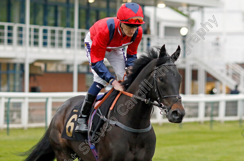 Bobby-Dassler-0005 
 BOBBY DASSLER (Daniel Muscutt) winner of The Racing TV Profits Returned To Racing Handicap
Nottingham 30 May 2023 - Pic Steven Cargill / Racingfotos.com