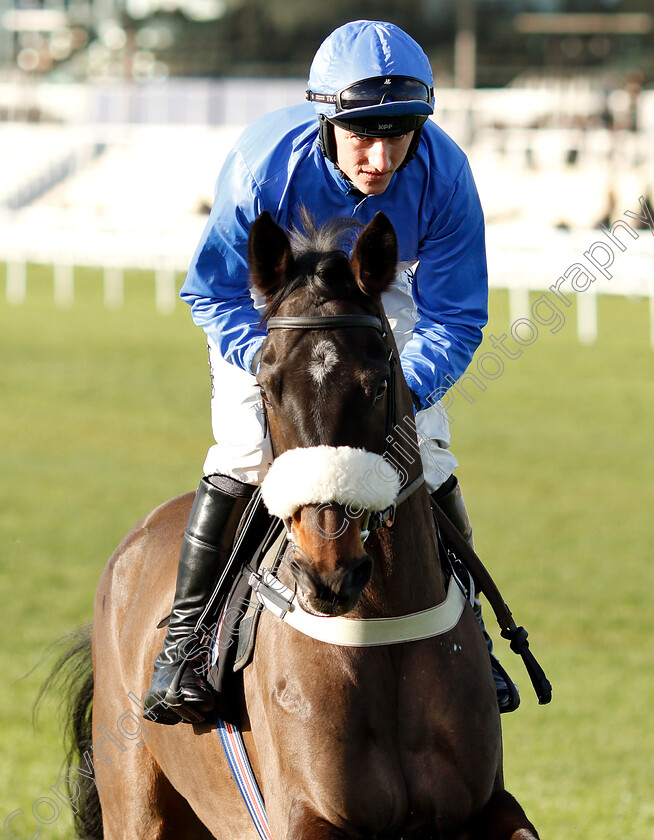 The-Last-Day-0001 
 THE LAST DAY (Adam Wedge)
Newbury 30 Nov 2018 - Pic Steven Cargill / Racingfotos.com