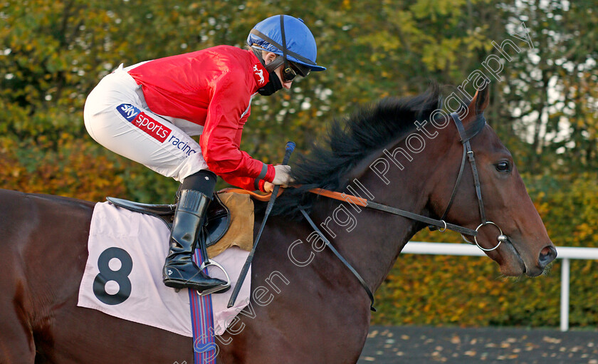 Inigo-Jones-0001 
 INIGO JONES (Hollie Doyle)
Kempton 2 Nov 2020 - Pic Steven Cargill / Racingfotos.com