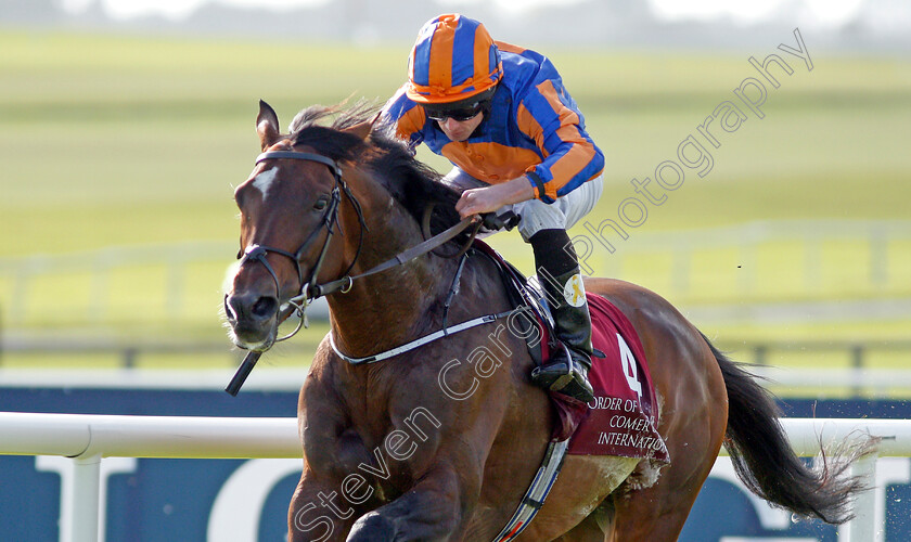 Order-Of-St-George-0008 
 ORDER OF ST GEORGE (Ryan Moore) wins The Comer Group International Irish St Leger Curragh 10 Sep 2017 - Pic Steven Cargill / Racingfotos.com